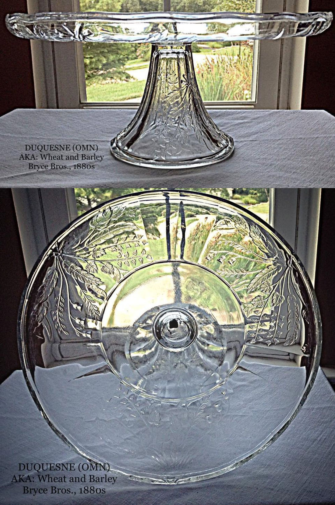 Glass Display View