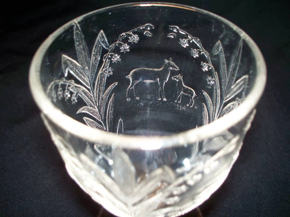 Glass Display View