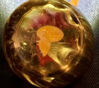 Glass Thumb