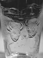 Glass Thumb